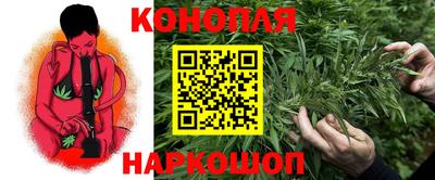 винт Новозыбков