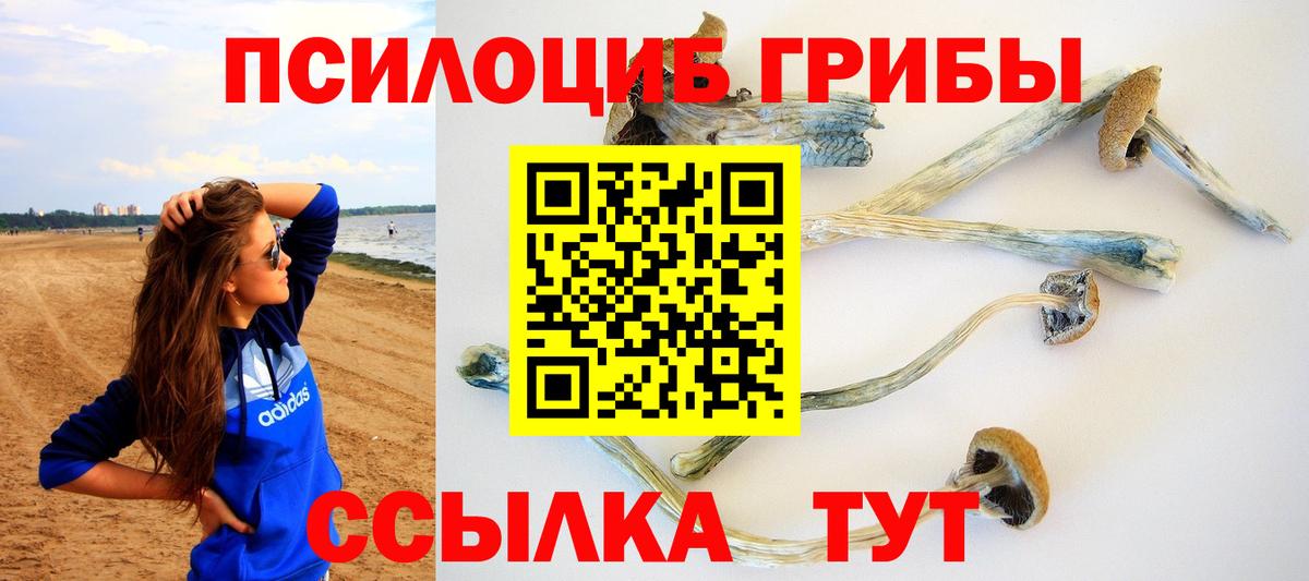 Галлюциногенные грибы прущие грибы  Псилоцибиновые грибы Magic Shrooms  Вход с VPN  Тобольск 